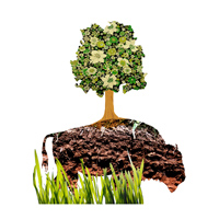 Five ways to decrease your carbon footprint