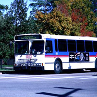 Abusing your RTD bus pass: Nederland