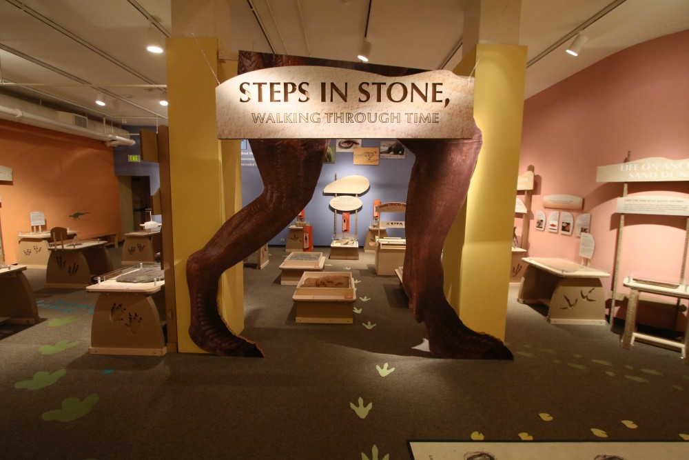 “Steps in Stone, Walking Through Time” is a current exhibit on display at the CU Boulder Museum of Natural History. (Nigel Amstock/CU Independent)
