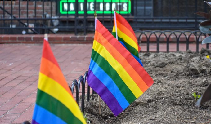 Pride flags placed in a garden on Pearl Street.